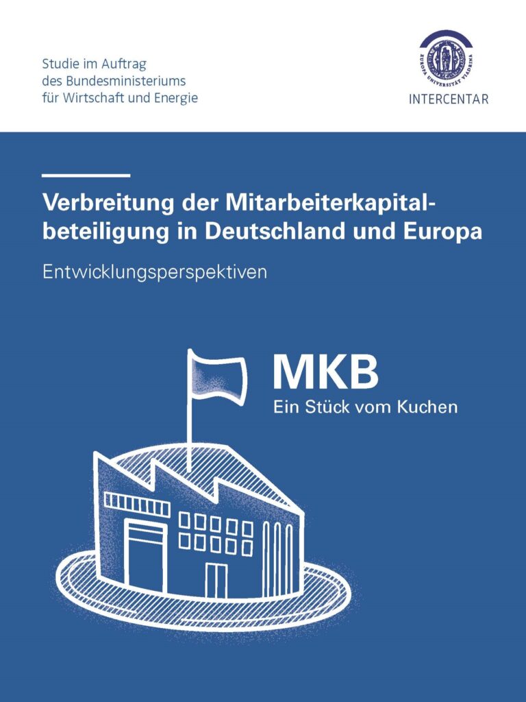 The cover of the BMWI study